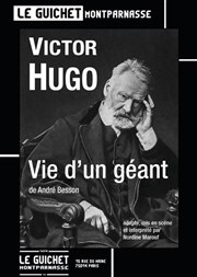 Victor Hugo : Vie d'un g�ant