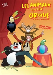 Les animaux font leur cirque