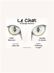 Le Chat