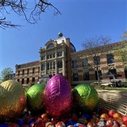 L'�nigmatique chasse aux oeufs !