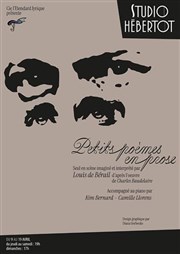 Petits po�mes en prose