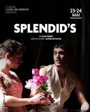 Splendid's