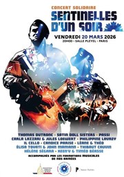 Sentinelles d'un soir