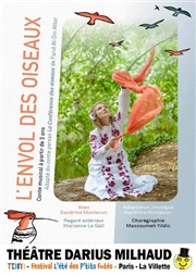 L'envol des oiseaux