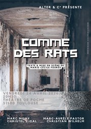 Comme des rats
