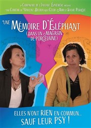 Une m�moire d'�l�phant (dans un magasin de porcelaine)