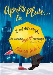 Apr�s la pluie