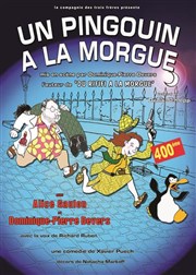 Un pingouin � la morgue