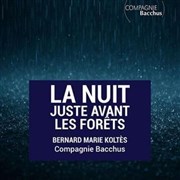 La nuit juste avant les for�ts