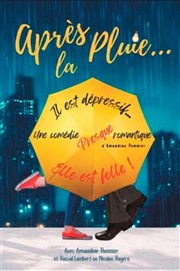 Apr�s la pluie