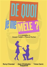 De quoi je me m�le ?