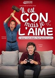 Il est con mais je l'aime