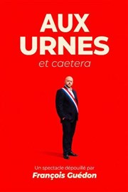 Fran�ois Gu�don dans Aux urnes et caetera