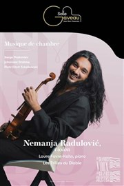 Nemanja Radulovic