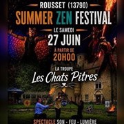 Show les Chats Pitres