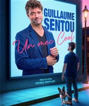 Guillaume Sentou dans Un mec cool