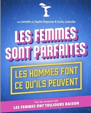 Les femmes sont parfaites, les hommes font ce qu'ils peuvent