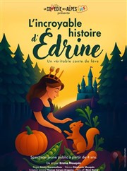 L'Incroyable Histoire d'�drine