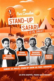 Stand-up Safari