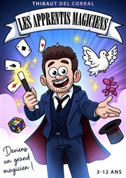 Les apprentis magiciens