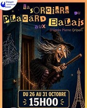 La sorci�re du placard aux balais