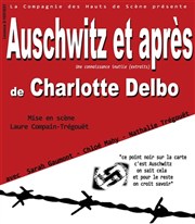 Auschwitz et après (une connaissance inutile) Carré Club Affiche