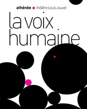 La Voix humaine Athénée - Théâtre Louis Jouvet Affiche