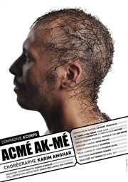 Acme Ak-Me - Cie A'corps Scène 7 Affiche
