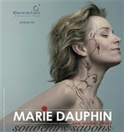 Marie Dauphin | Souvenirs savons Artishow Cabaret Affiche