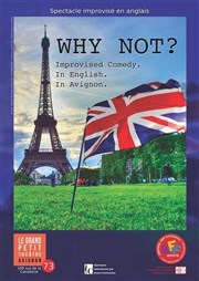 Why Not? | English Show Le Grand petit thtre Affiche