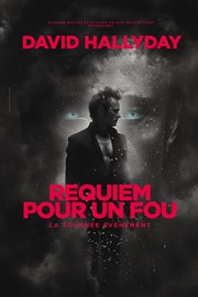 David Hallyday : Requiem pour un fou | Caen Znith de Caen Affiche