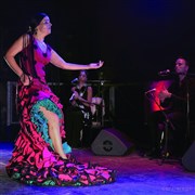 La Moi, flamenco Luna Negra Affiche
