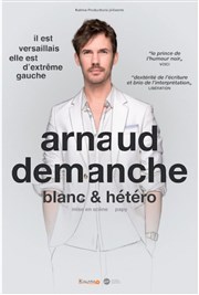 Arnaud Demanche dans Blanc & hétéro Espace Beaumarchais Affiche