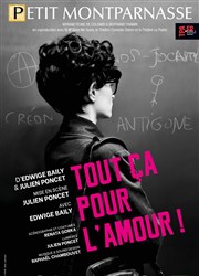 Tout ça pour l'amour | par Edwige Baily Théâtre du Petit Montparnasse Affiche