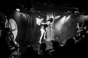 Les déesses de la fesse Cirque Electrique - La Dalle des cirques Affiche