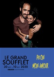 Picon mon amour | Festival Le Grand Soufflet Salle des Ftes Affiche