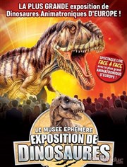 Le Musée Éphémère : les dinosaures arrivent à Mâcon Le Spot Affiche