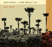 David Patrois & Pierre Marcault quintet Wild poetry Le Comptoir Affiche