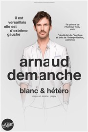 Arnaud Demanche dans Blanc et Hétéro Théâtre Le Colbert Affiche