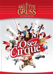 Cirque Arlette Gruss dans Osez le Cirque | - Valencienne Chapiteau Arlette Gruss  Prouvy Affiche