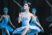 La belle au bois dormant - Grand Ballet de Kiev Thtre Casino Barrire de Lille Affiche