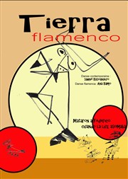 Tierra Flamenco Thtre Pixel Affiche