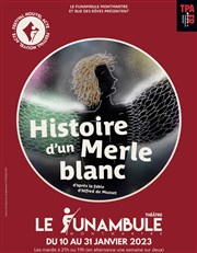 Histoire d'un merle blanc Le Funambule Montmartre Affiche