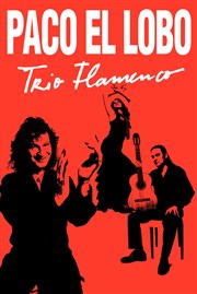Paco El Lobo | Trio Flamenco Collge de la Salle Affiche