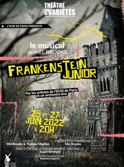 Frankenstein Junior Thtre des Varits - Grande Salle Affiche