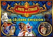 Cirque la piste aux étoiles | - Peyrolles en Provence Chapiteau Cirque La Piste aux Etoiles Affiche