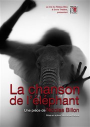 La chanson de l'éléphant Salle Mre Marie Pia Affiche