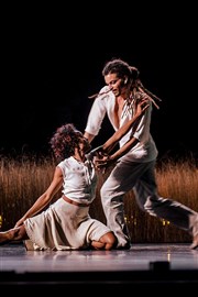Acosta Danza | 100% Cuban Chaillot - Thtre National de la Danse / Salle Jean Vilar Affiche
