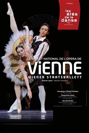 Le Ballet National de l'Opera de Vienne | Don Quichotte | Les étés de la danse Thtre du Chtelet Affiche