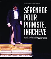 Sérénade pour pianiste inachevé Thtre Clavel Affiche